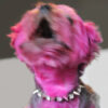Whitesnake Inspired Heavy Metal Spiked Collar XXS - S - Image 5