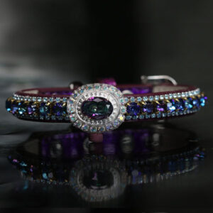 Glam Rock - Skid Row Inspired Jewelry Collar